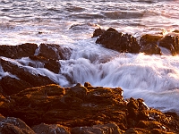 Cambria 1